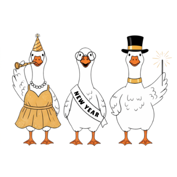 Fridge Geese (Pack of 12)